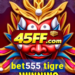 bet555 tigre